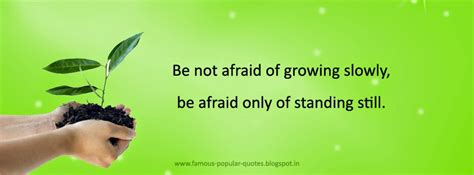 Inspirational Quotes About Growth Quotesgram