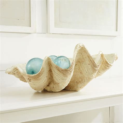 Giant Clam Bowl Giant Clam Giant Clam Shell Driven By Decor