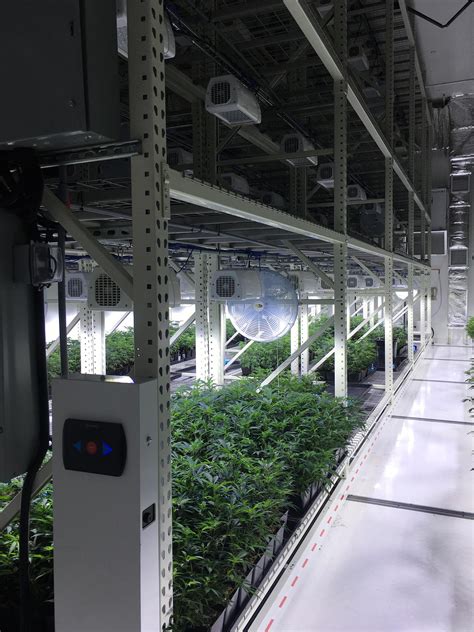 Vertical Growing Mobile Systems For Cannabis Montel Inc