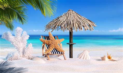 Hd Wallpaper Sand Sea Beach Summer Star Vacation Shell Palms