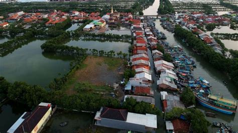 Perbedaan Banjir dan Rob Pengertian, Penyebab dan Cara Mengantisipasinya