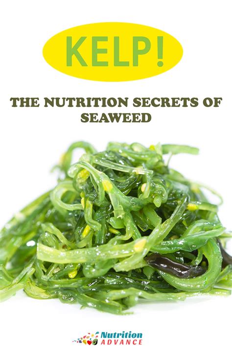 The Interesting Health Benefits Of Kelp Seaweed Nutrition Advance