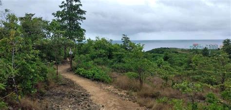 Quebradillas Puerto Rico Mountain Biking Trails Trailforks
