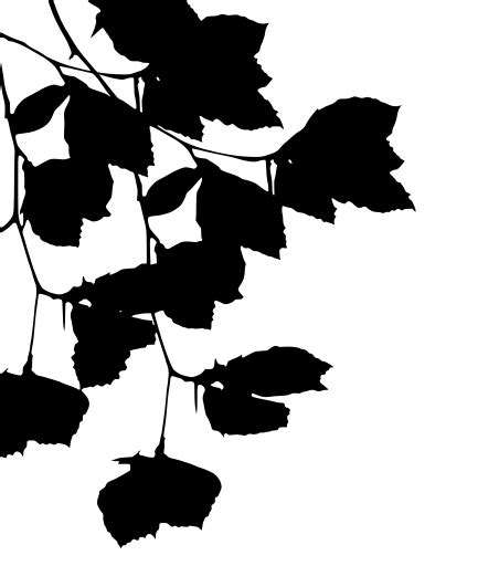 Svg Leaves Leaf Branches Free Svg Image And Icon Svg Silh