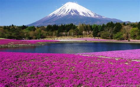 Fuji Mountain Wallpapers Top 20 Mount Fuji Hd Wallpapers Desktop Background