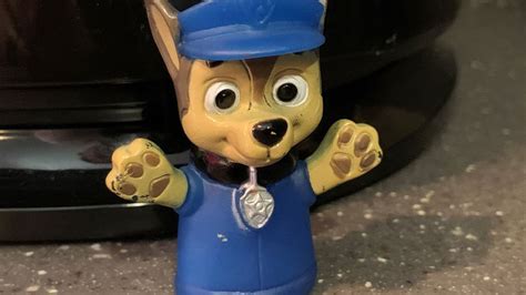 Popular Cartoon Paw Patrol Character Chase Facing Pressure From Activists