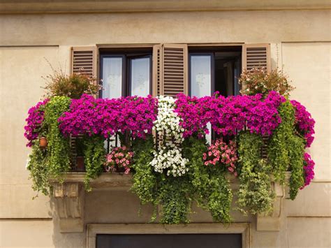 13 Conseils Pour Commencer Un Jardin De Fleurs Sur Un Balcon