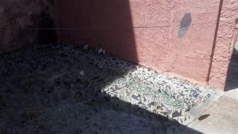 SP Mulher coloca cacos de vidro em calçada para afastar moradores de