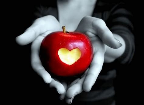 Love - Love Photo (33499764) - Fanpop
