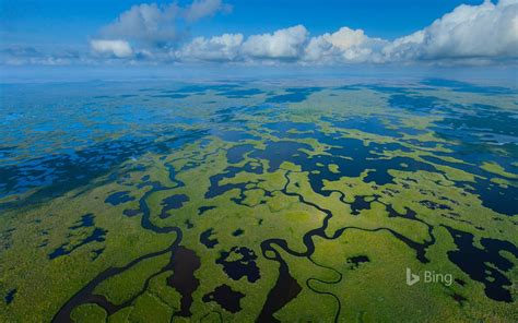 Vista Aérea Del Parque Nacional Everglades En Florida 2016 Bing Desktop