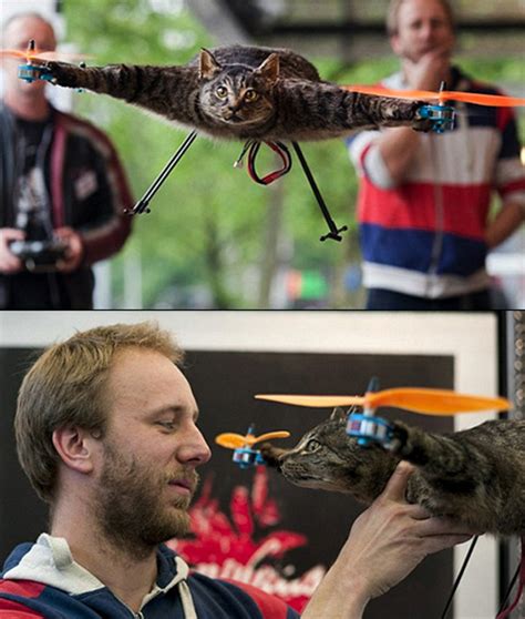 Another Look At Orvillecopter The Taxidermied Cat Turned Flying