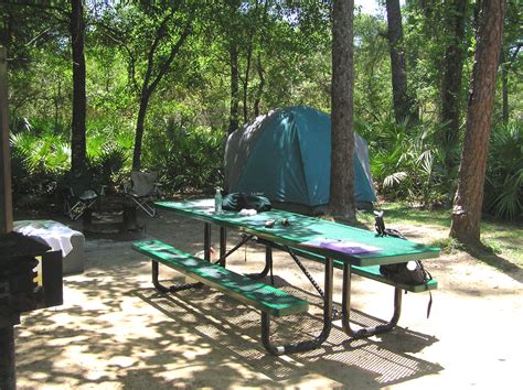 It has 14 developed campgrounds, only one though has hookups. 5 Free Camping Sites in Florida - Flavorverse