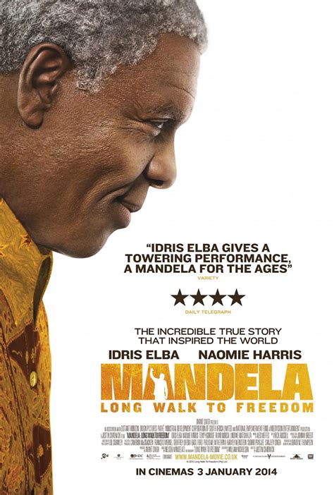 Poster Lab Mandela Long Walk To Freedom Swining And Missing Slant