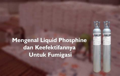 Mengenal Liquid Phosphine Dan Keefektifannya Untuk Fumigasi Pt Panca Prima Wijaya