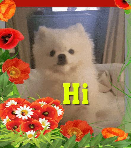 Открыть страницу «hello card» на facebook. A Cute Hi-Hello Card For You. Free Hi-hello eCards, Greeting Cards | 123 Greetings