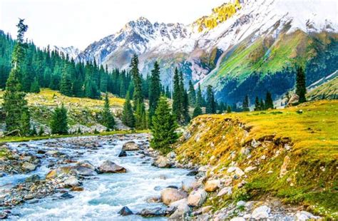 6 Reasons Why Everyone Should Make A Trip To The Mountains Missmalini