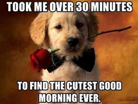 101 Good Morning Memes For Wishing A Beautiful Day To Him And Her