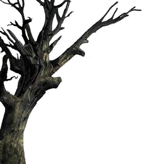 Isolated The Tree Spooky Tree Transparent Clipart Full Size Clipart