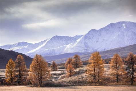 Mountain Autumn Landscape Valley Mountains With Snow In The