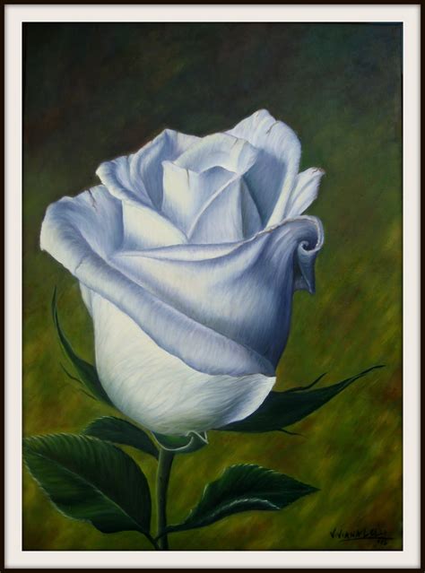 Mis Dibujos Y Pinturas Una Rosa Blanca