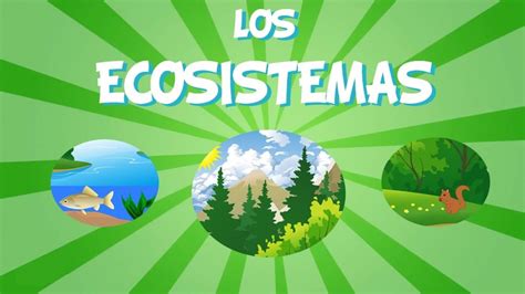 ¿sabes Qué Es Un Ecosistema Educaimágenes