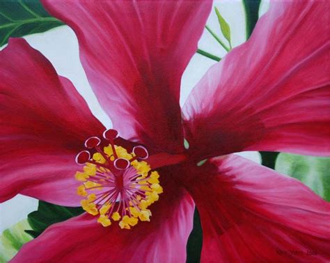 Kate Yorke Oil Painting Flower Painting Flowers Tropical Flowers