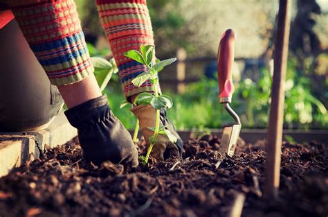 Auf der suche nach einer günstigen versicherung? Hinaus in Garten und auf Balkon & aufgeräumt | GEV ...