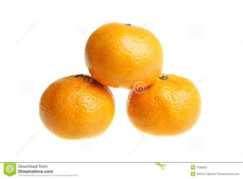Three Tangerines Mandarins Stock Image Image Of Fresh Round 7536603