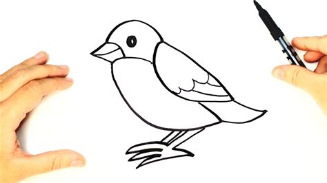 Cómo Dibujar Un Pájaro Paso A Paso Para Niños Dibujo De Animales Para