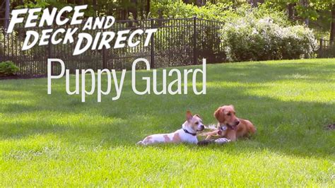 Fence And Deck Directs Puppy Guard Youtube