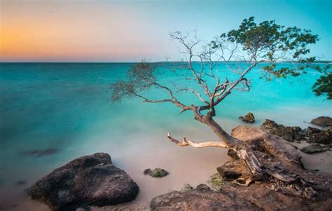 Experts Guide Best Cartagena Beaches In Colombia Create Your