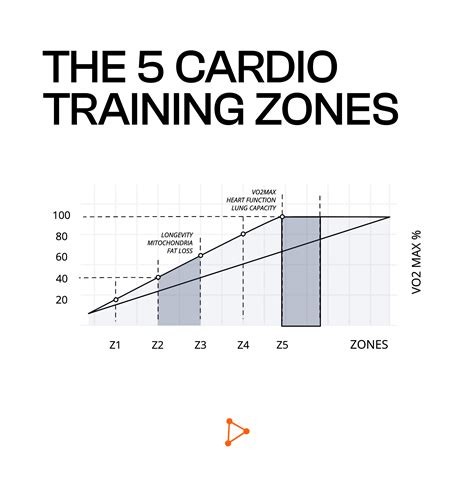 Zone 2 And 5 Aerobic Training For Longevity Fitness And Health Vitalscend