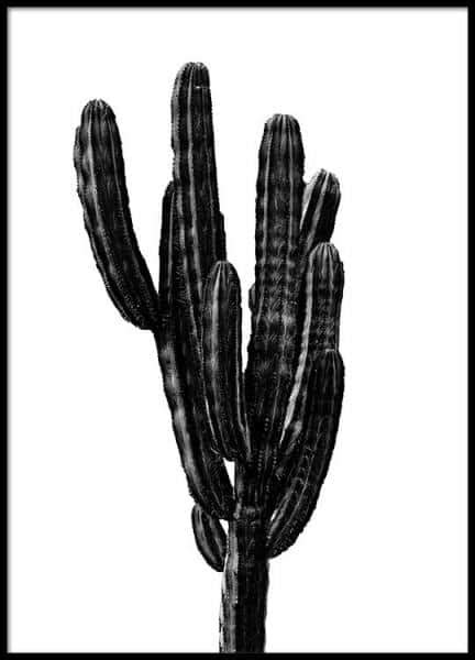 Black Cactus Three Poster