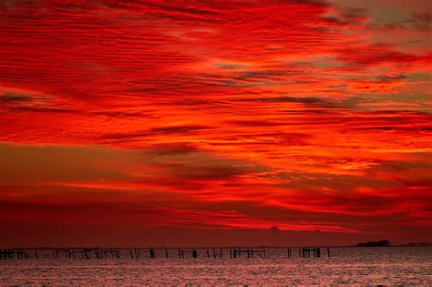 The croissant shape of the waxing crescent moon slips among dots of cranberry this week. Red Sky In The Morning, Sailor's Take Warning. | Shutterbug