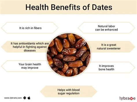 Medjool Dates Health Benefits