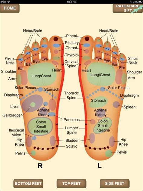 annies village ropes on twitter foot reflexology massage foot