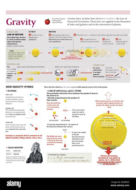 Infografía De Las Tres Leyes Del Movimiento Y La Ley De La Gravitación