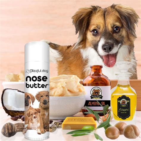 The Blissful Dog Nose Butter For Your Dogs Rough Dry Crusty Nose