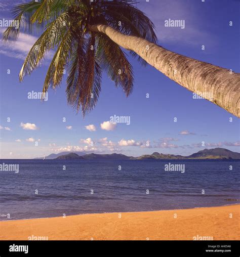Typical Tropical Desert Island Style Beach Framed By Overhead Leaning