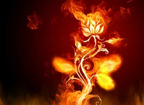 50 Free Wallpapers For Fire Tablet Wallpapersafari