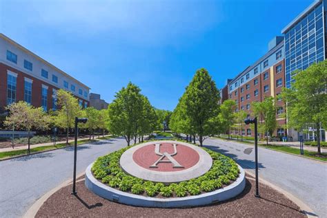 The University Of Akron • Stellic Degree Management Reimagined