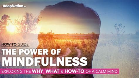 The Power Of Mindfulness Exploring The Why What And How To Of A Calm