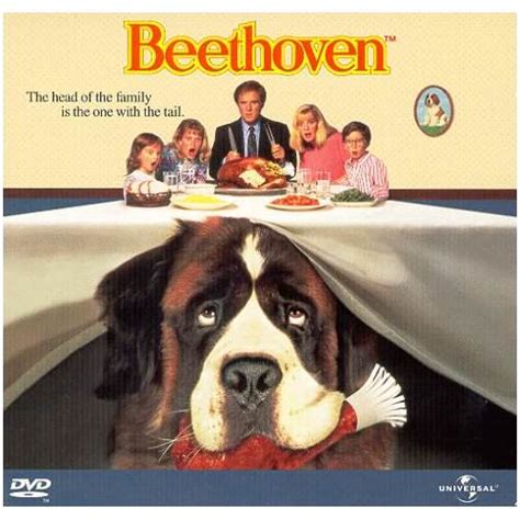 Find the perfect beethoven dog stock photos and editorial news pictures from getty images. Top Ten Dog Movies To Rent - Fidose of Reality