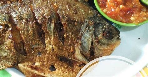 Ketupat ada disebut dalam hikayat indraputra bertarikh 1700, tetapi kisahnya wujud secara lisan sebelum tarikh tersebut. Resep Ikan Bawal Goreng Kering oleh Laras - Cookpad