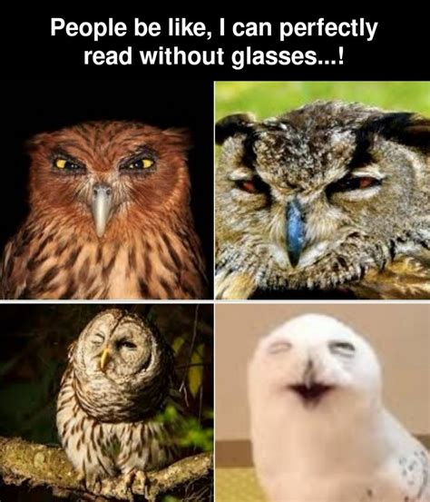 Wisdom Of The Owls Meme By Moty Memedroid