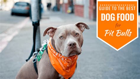 When it comes to providing quality food for your pup. Our Guide to the Best Dog Food for Pitbulls (2021 Reviews)