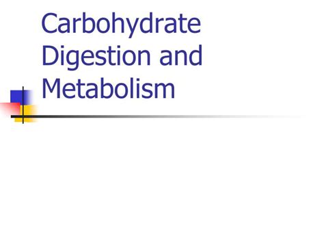 Ppt Carbohydrate Digestion And Metabolism Powerpoint Presentation