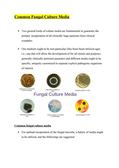 Common Fungal Culture Media One Medium Ought To Be Non Particular