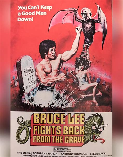 Bruce Lee A Life Kung Fu Kingdom