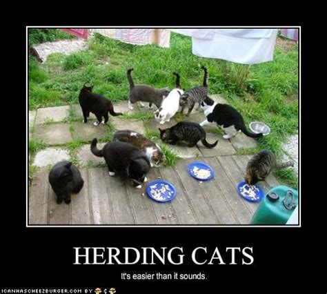 Quotes About Herding Cats 21 Quotes